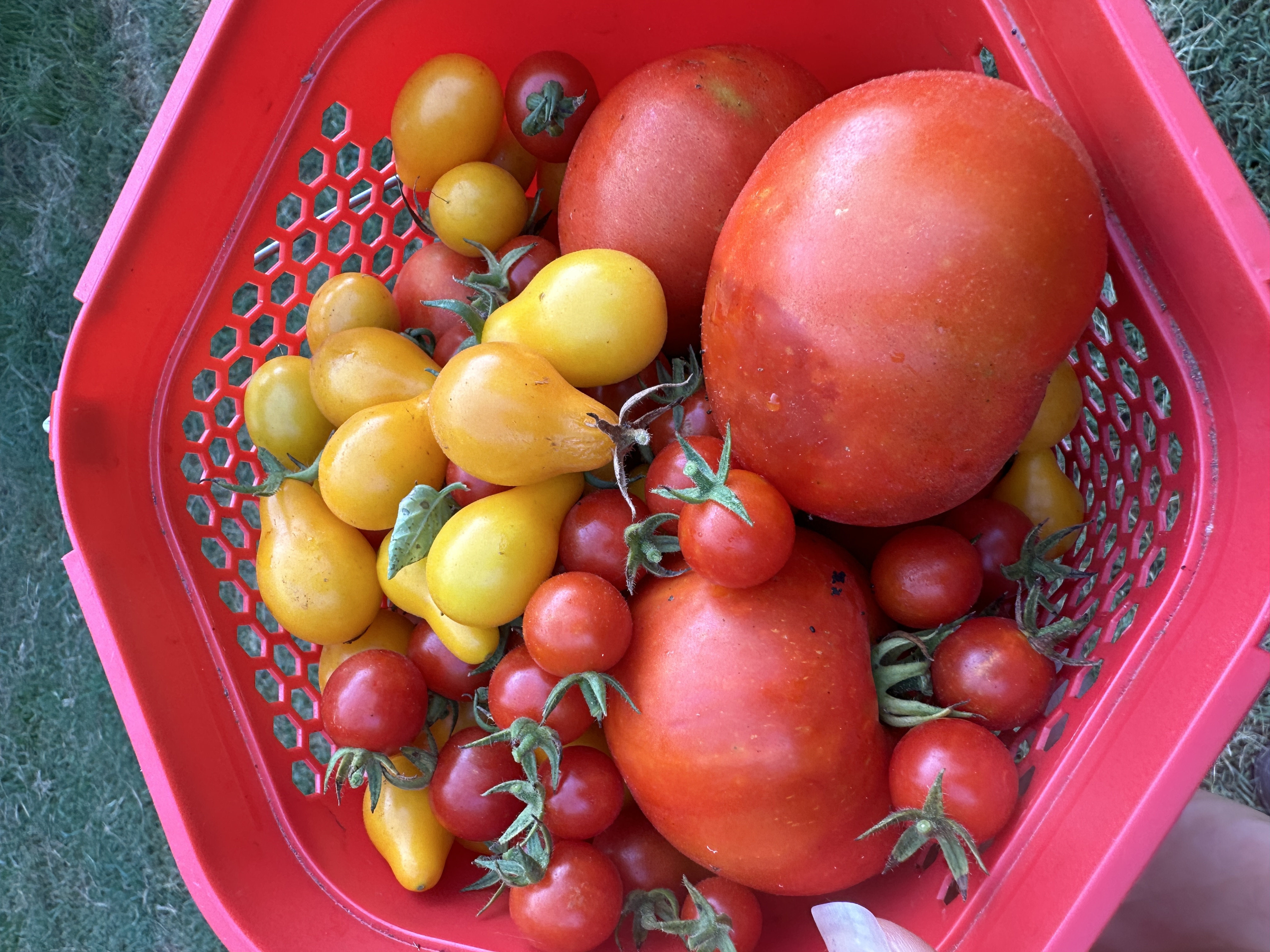 Garden Wrap-UP